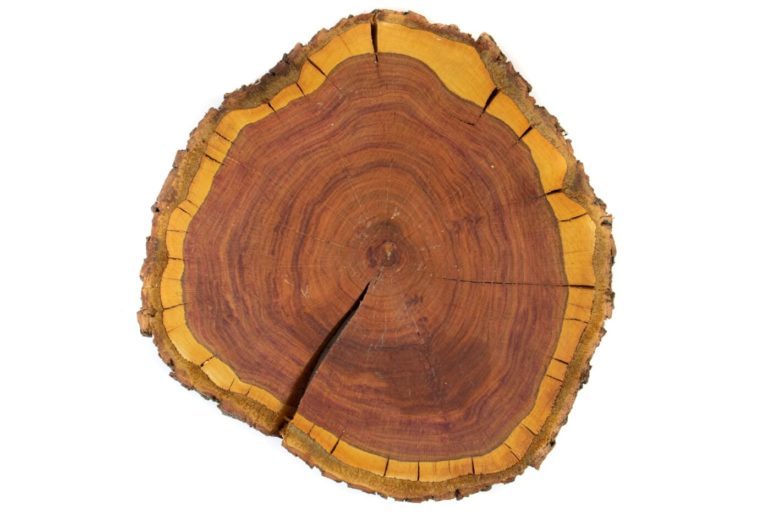Přírodní dřevěná podložka Švestka M Dřevo voní
