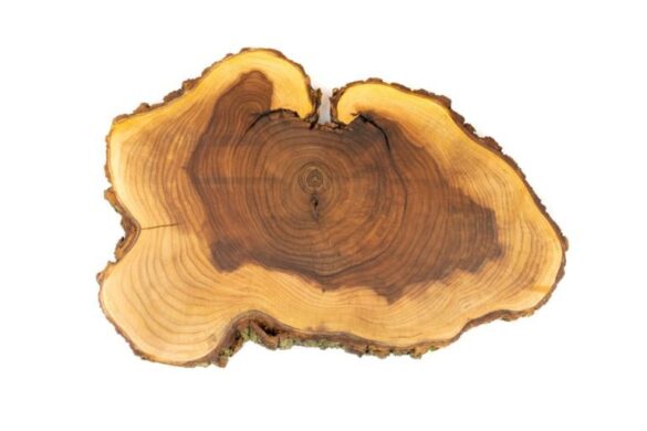 Přírodní dřevěná podložka Jilm XL Dřevo voní