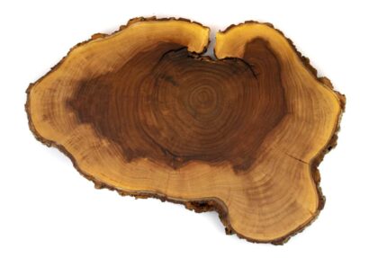 Dřevo voní podložka Jilm XL