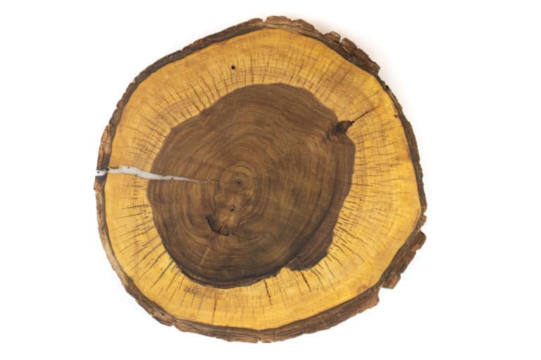 Přírodní dřevěná podložka Ořech L Dřevo voní