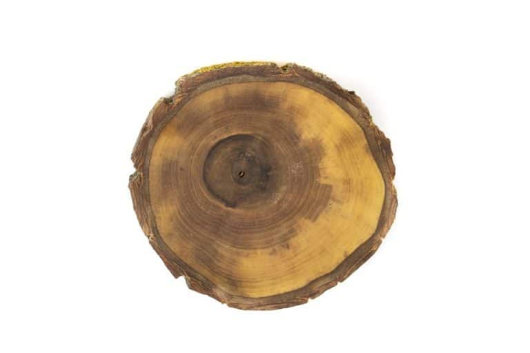 Přírodní dřevěná podložka Ořech S Dřevo voní