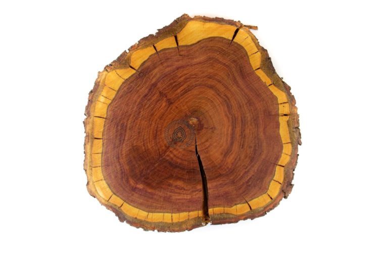 Přírodní dřevěná podložka Švestka M Dřevo voní