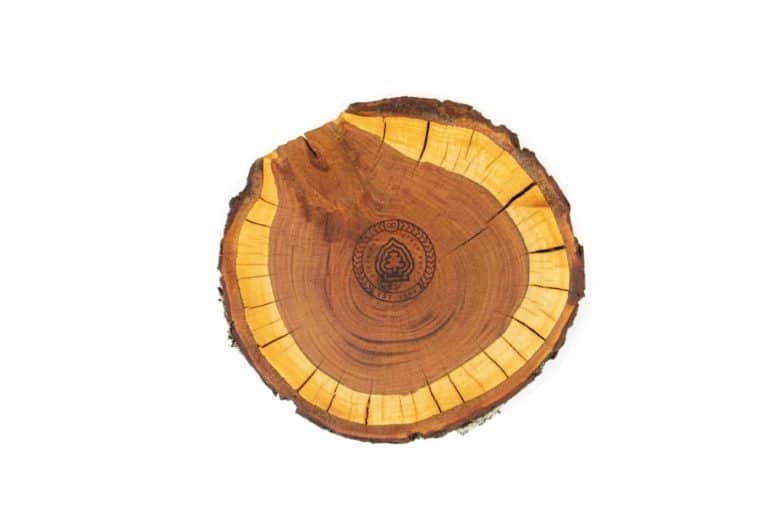 Přírodní dřevěná podložka Švestka S Dřevo voní