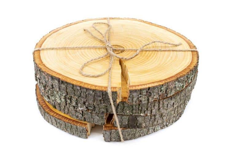 Set přírodních dřevěných podložek Dřevo voní Lípa L 3+1