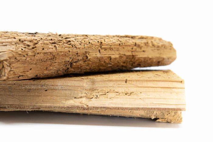 Dřevo voní Červivé dřevo - velké kusy - detail